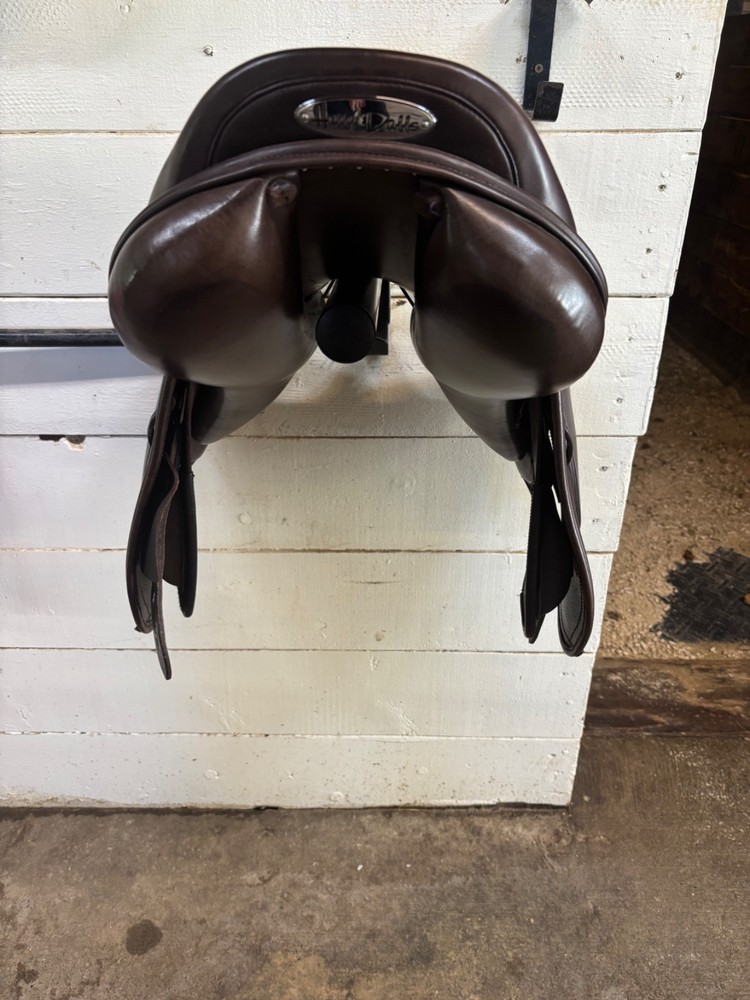 Harry Dabbs Italiano Jump 17”