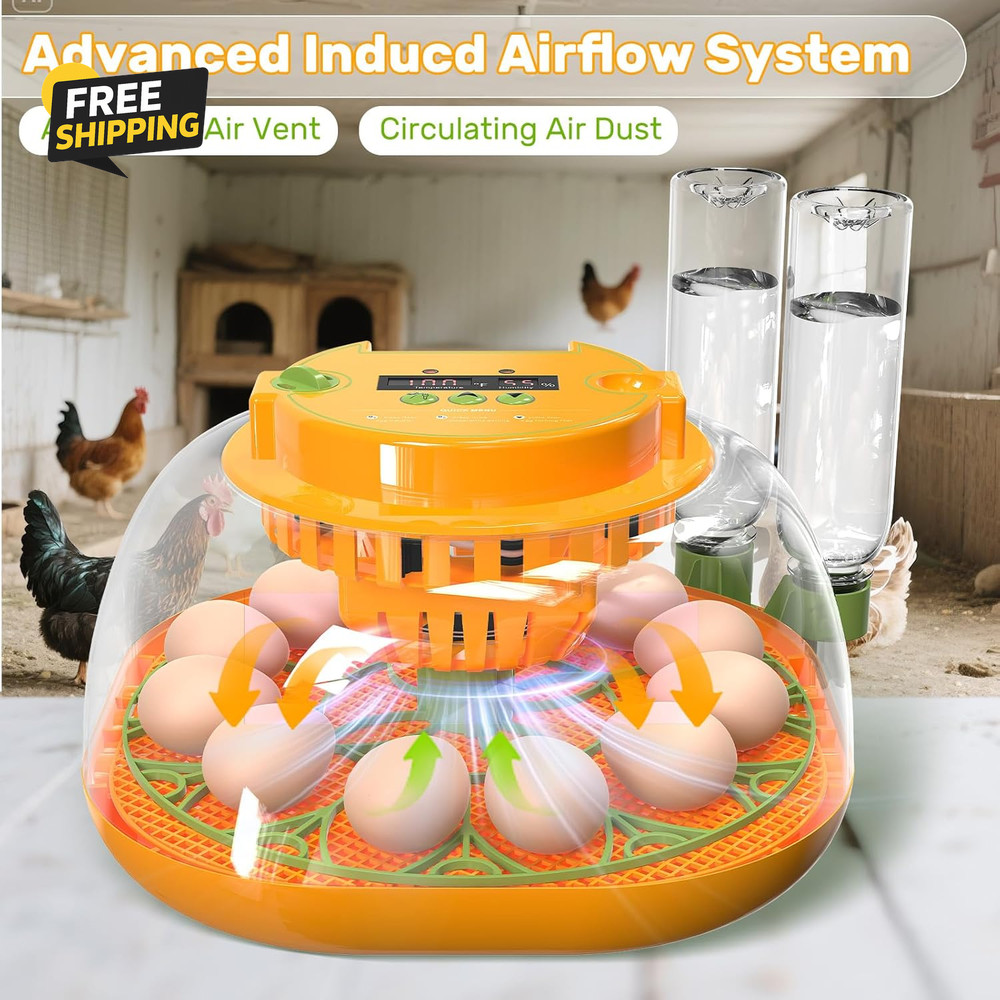 Incubators for Hatching Eggs, 12 Egg Incubator with Automatic Egg Turning