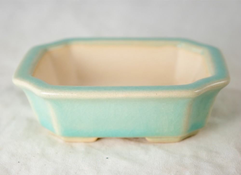Fine Rectangular Cactus & Succulent, Mame Bonsai Pot + Mesh 4.25"x 3.5"x 1.25"