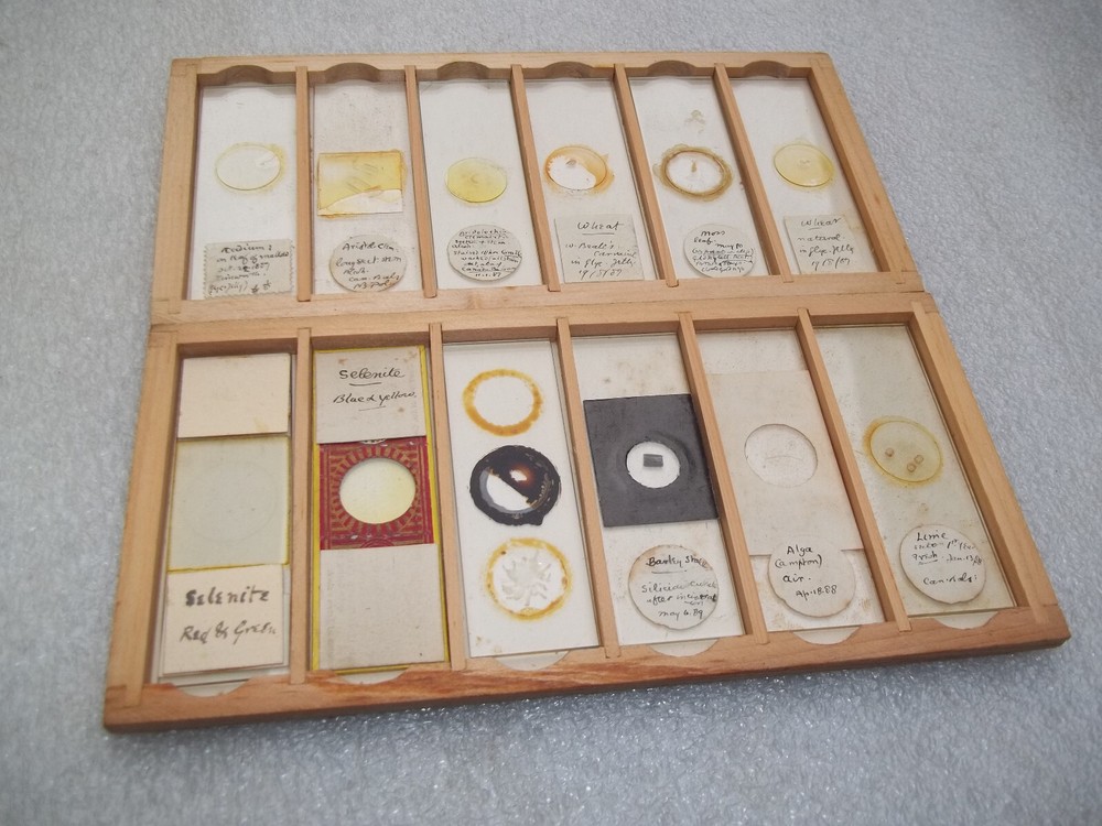 Antique Glass Microscope Slides