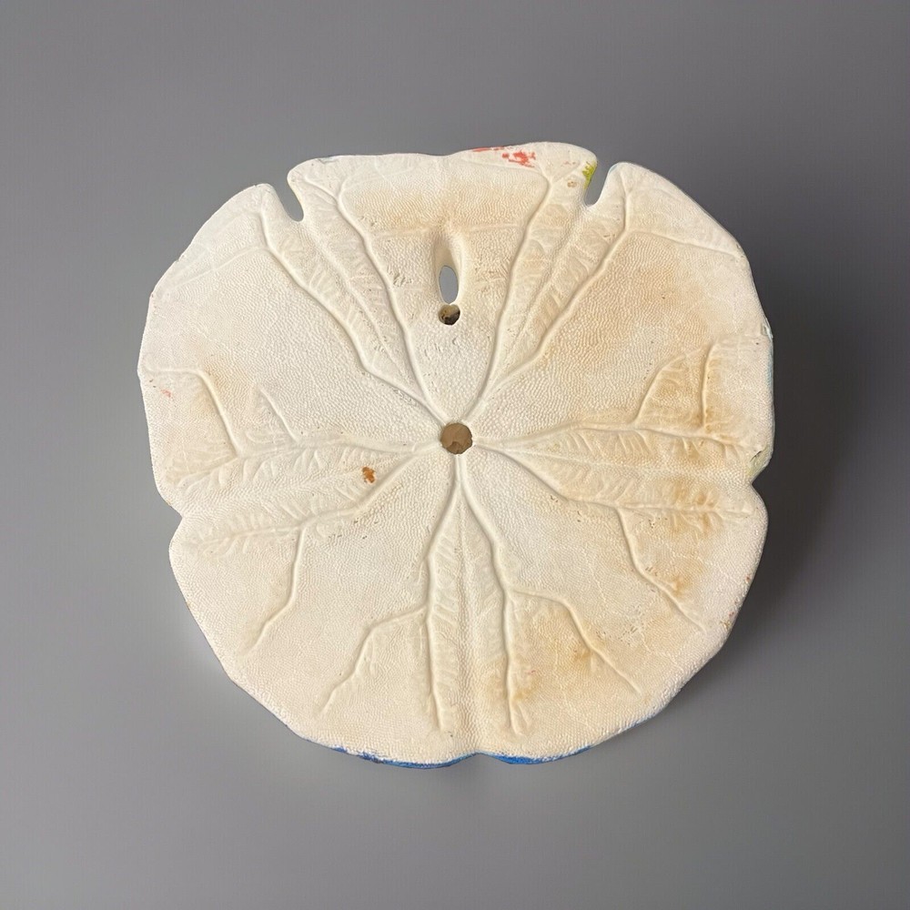 Hand painted Sanddollar