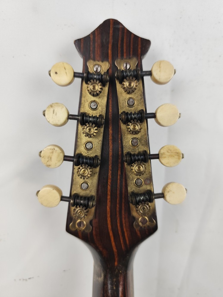 Mandolin 6 String Ridellio Naples 1945 Mandolin 曼陀林 만돌린マンドリン