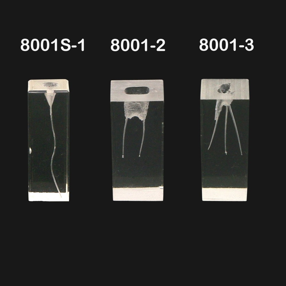 10Pcs Dental Root Canal Study Teeth Model for Endodontic Rotary Files Practice