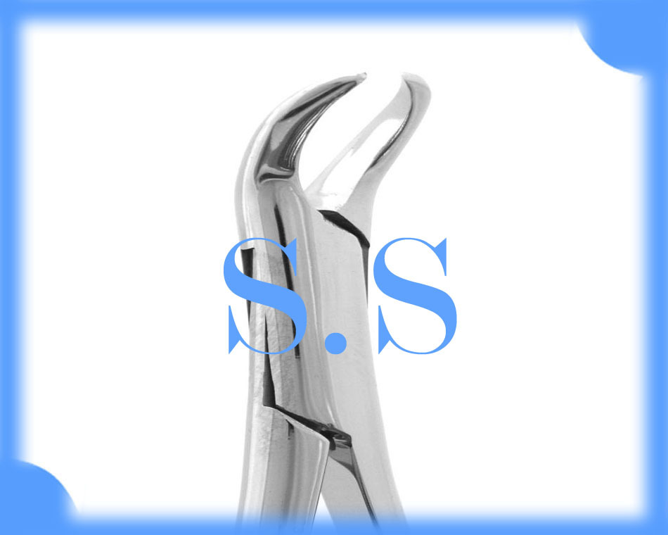 Pedo Lower Molars, Cow Horn, Spring Handle 4 3/4"