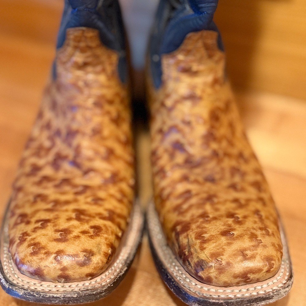 Vintage John B Stetson Boots