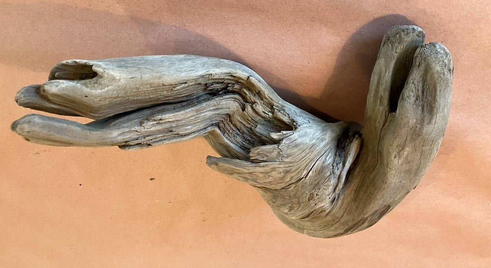 Beautiful Driftwood