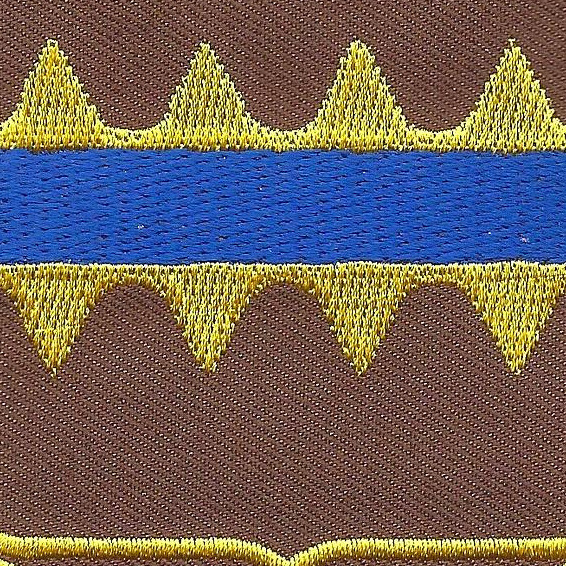 725th Support Battalion Patch