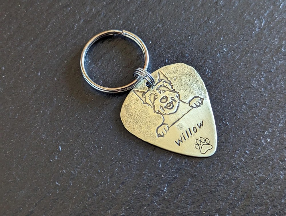 Brass dog tag customized for you