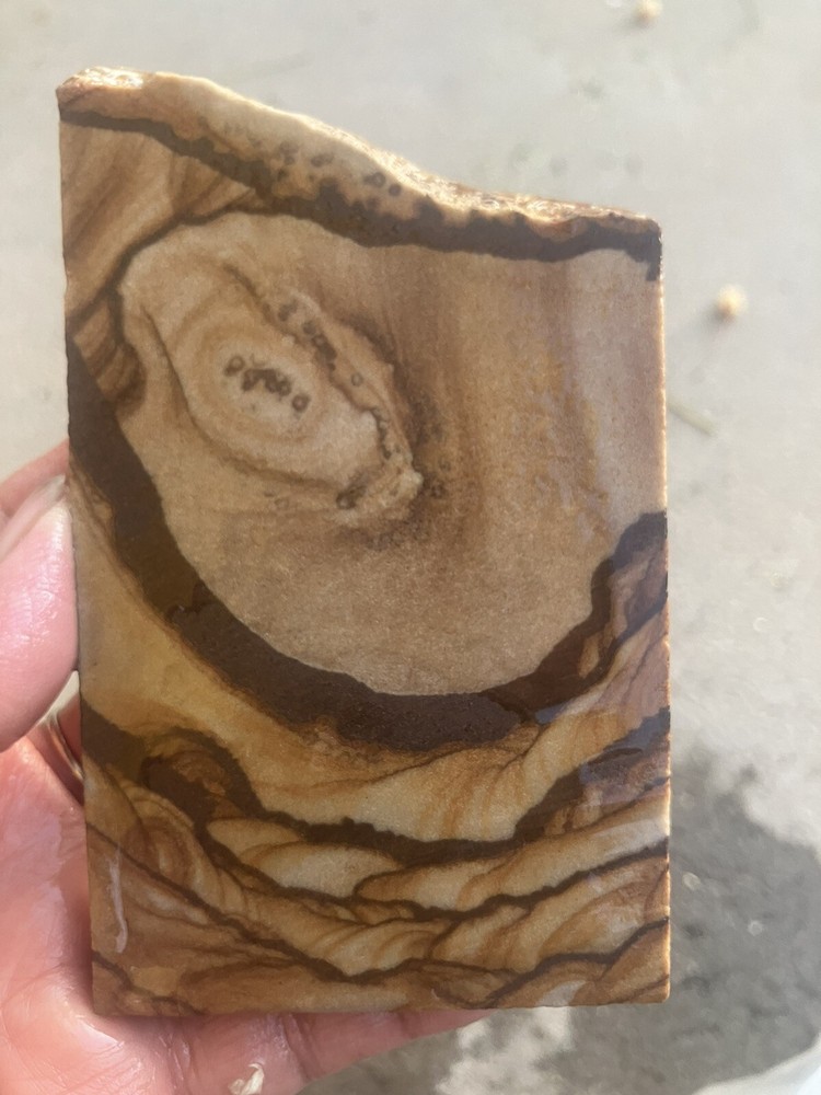 Lansdscape Sandstone Slab