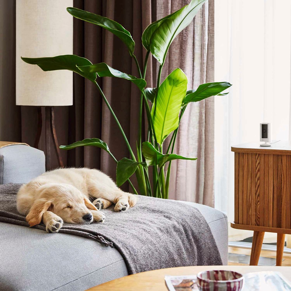 Ring - Indoor Plug-In 1080p Security Camera (2nd - Generation) with Privacy c...