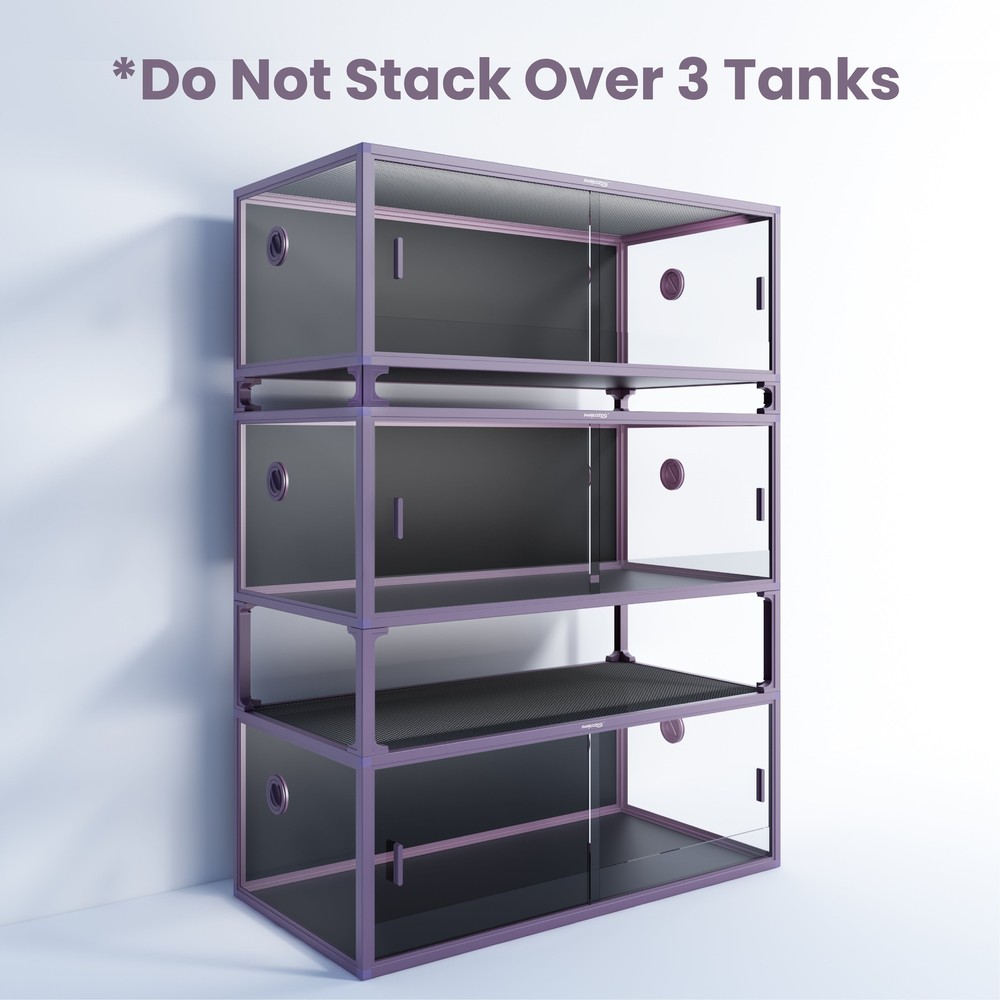 Phailozoo 3" Stacker (set of 4) Purple
