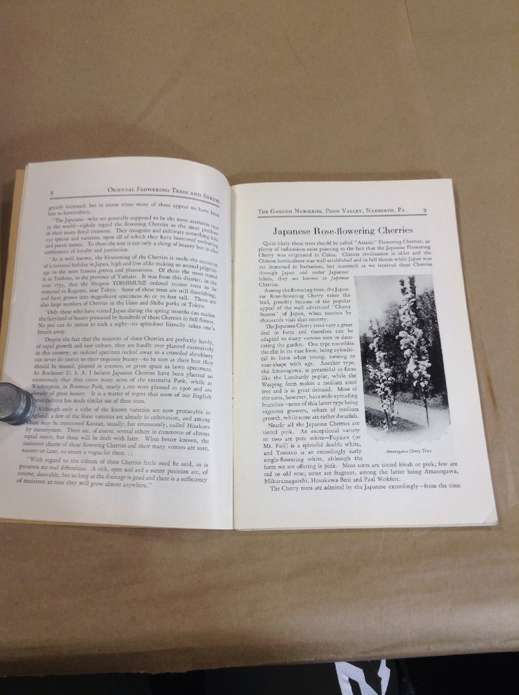 vintage Seed book Original INV-P1061