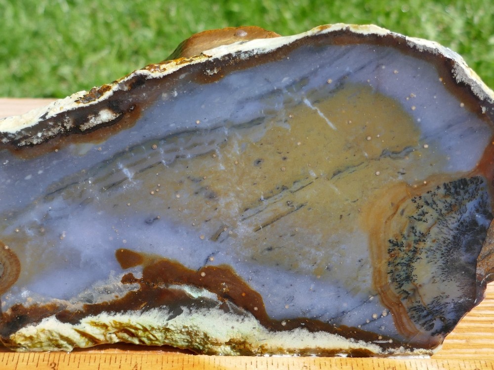 TCR Snake River Dendritic Agate *Rough Slab 204 g– Multicolor Unique dendrites