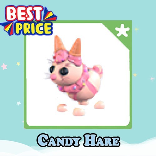 Candy Hare - Adopt right now