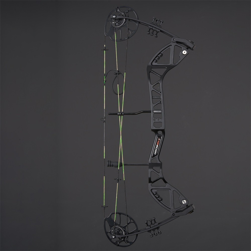 Compound Bow 30-70lbs Adjustable Archery Bow Carbon Arrows Hunting Shoot Target
