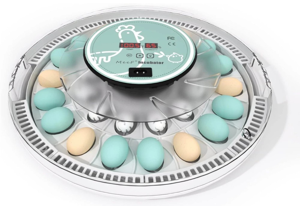 MeeF incubators for Hatching Eggs Automatic 30 Eggs Incubator with Tur