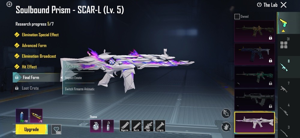 PUBG Mobile X-Suit, Glider, Vehicle, Weapon, Set, Level, Special Effect Bundle