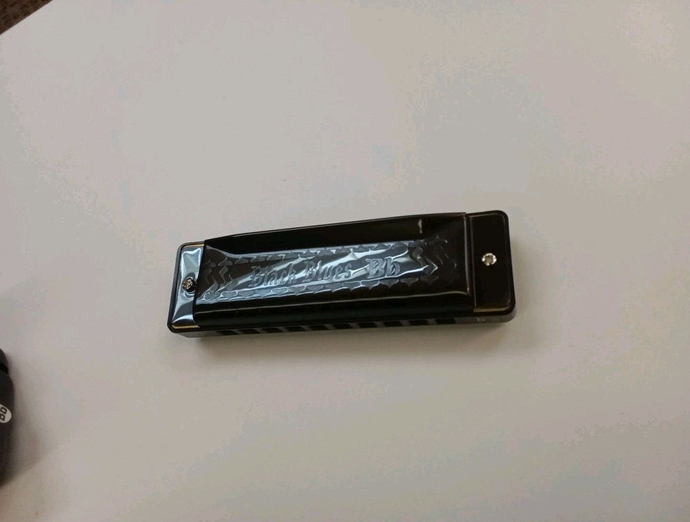 Hering Black Blues 10-Hole Harmonica Brazil Made Black Bb
