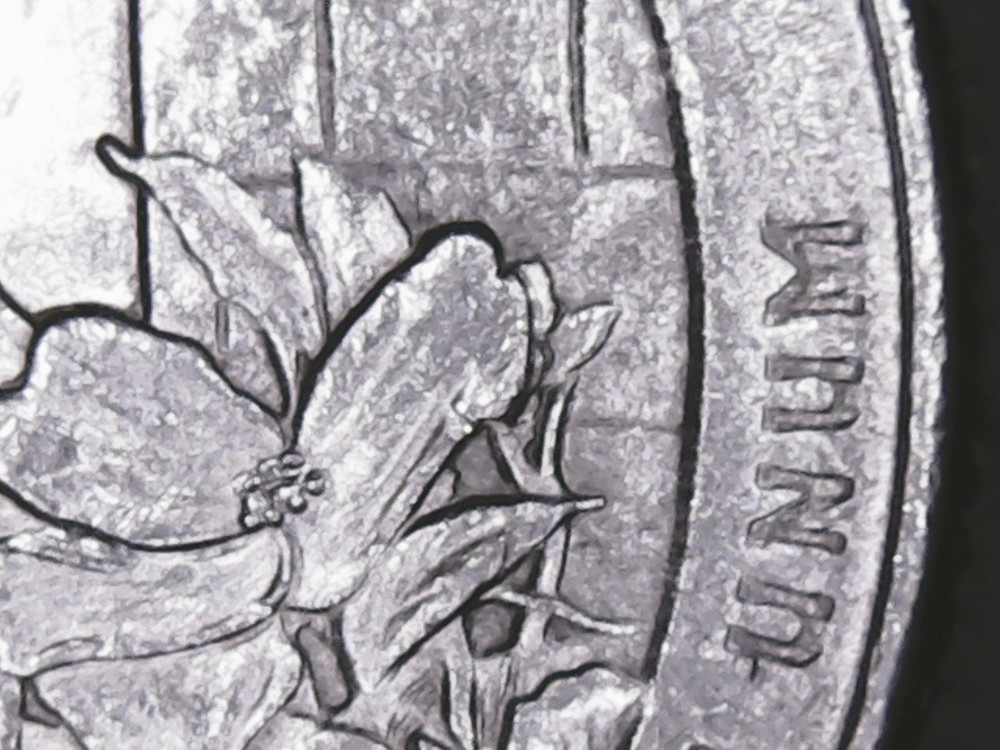 2015 P Blue Ridge Parkway ATB Quarter Die Chips Mint Error.