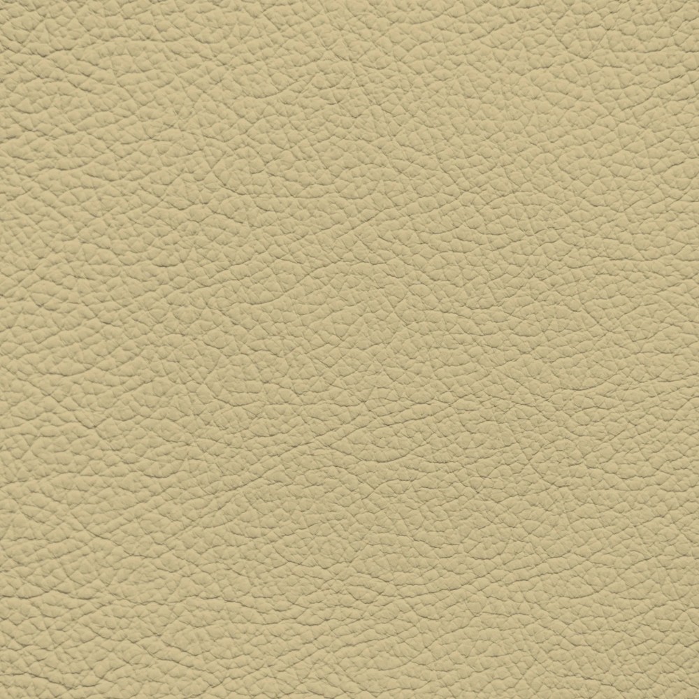 Audi Beige - Tottone Leather Dye