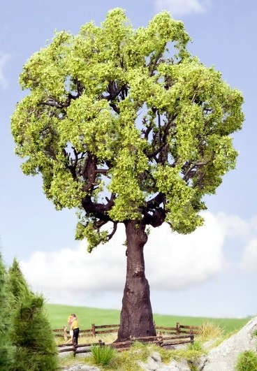 NOCH,Oak 19cm, , NOC21761
