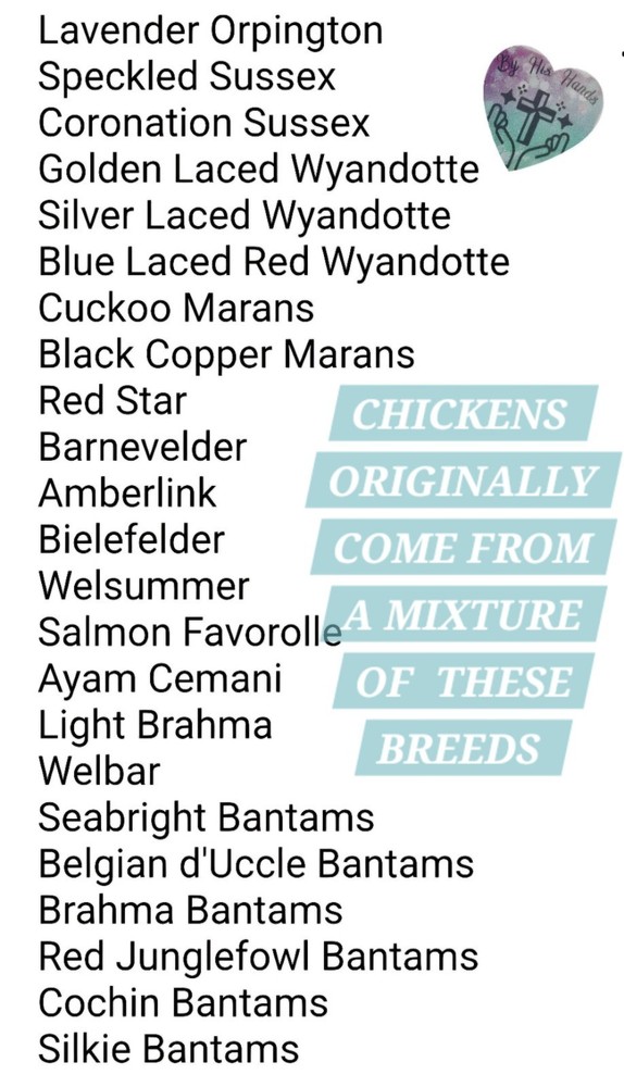 🐥🐣10+2 PICK YOUR COLOR Barnyard Mix🐣🐥