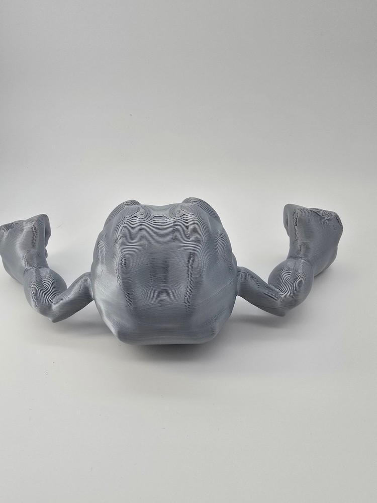 Geodude 3D Printed