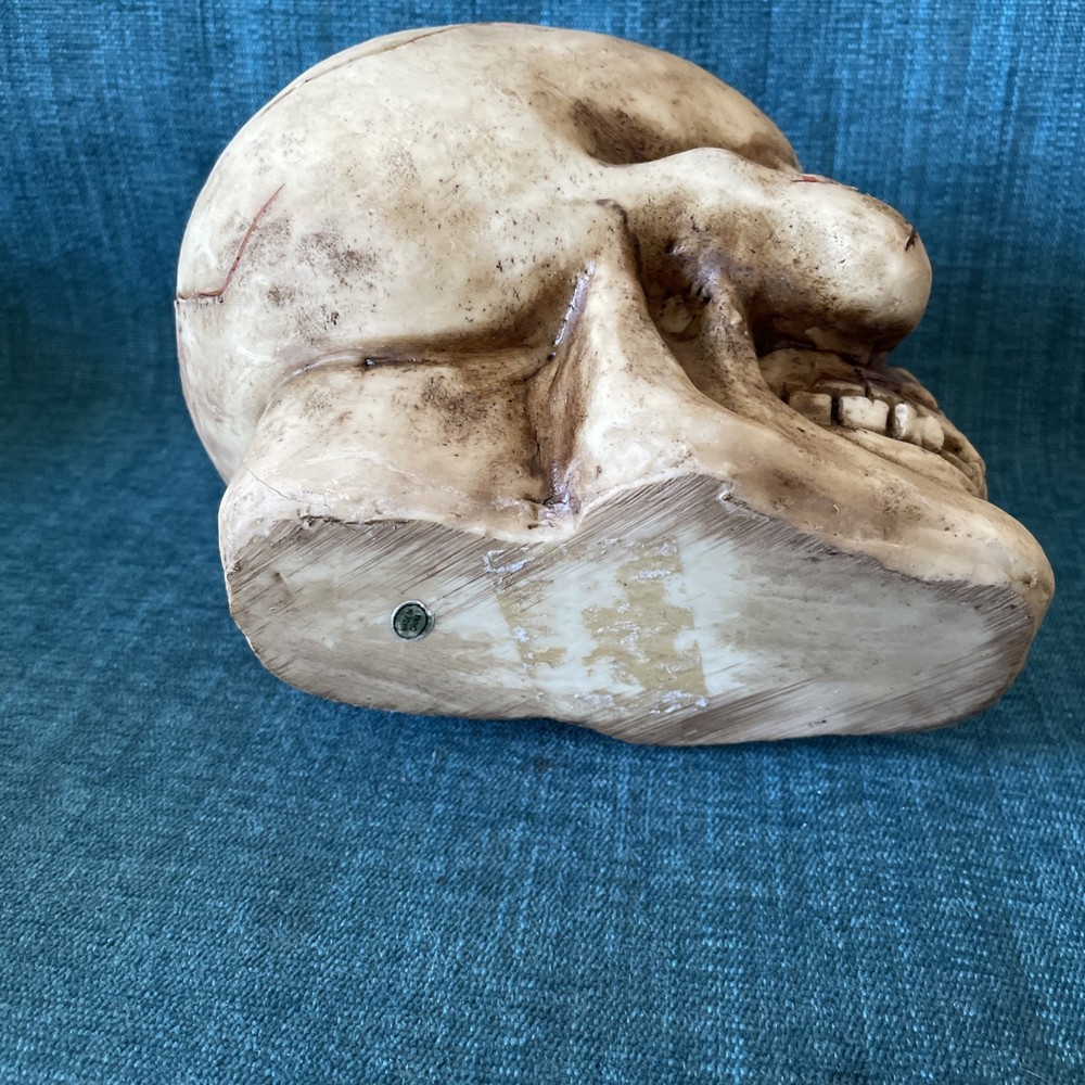 large halloween skull decorations