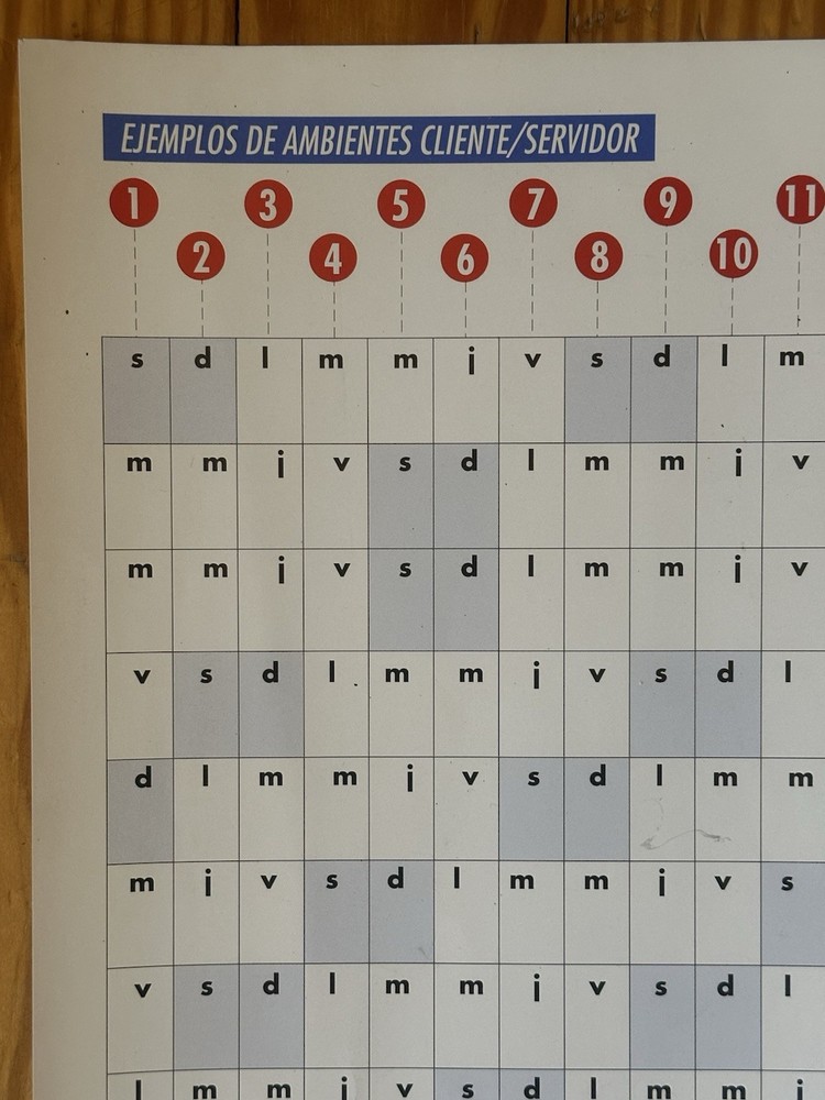 VINTAGE LARGE 1994 IBM COMPUTER LAN NETWORK SPANISH WALL CALENDAR
