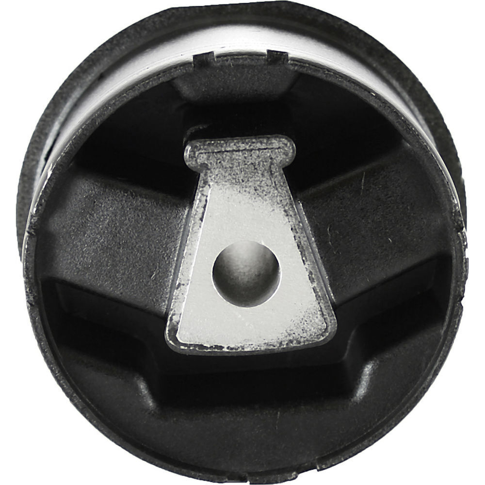 trans Mount Pioneer 628910