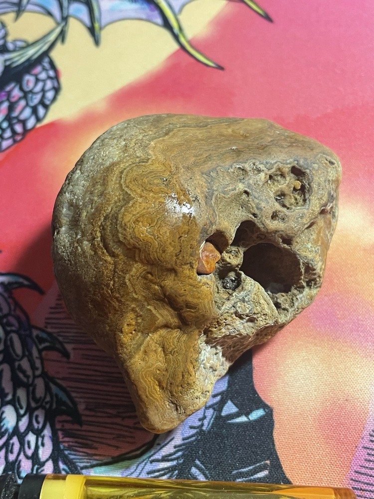 Agate 200+ Grams Raw Natural Rough Gem