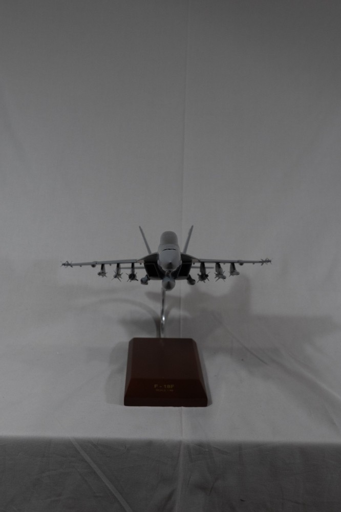 Executive Series Daron F/A-18F 1/48