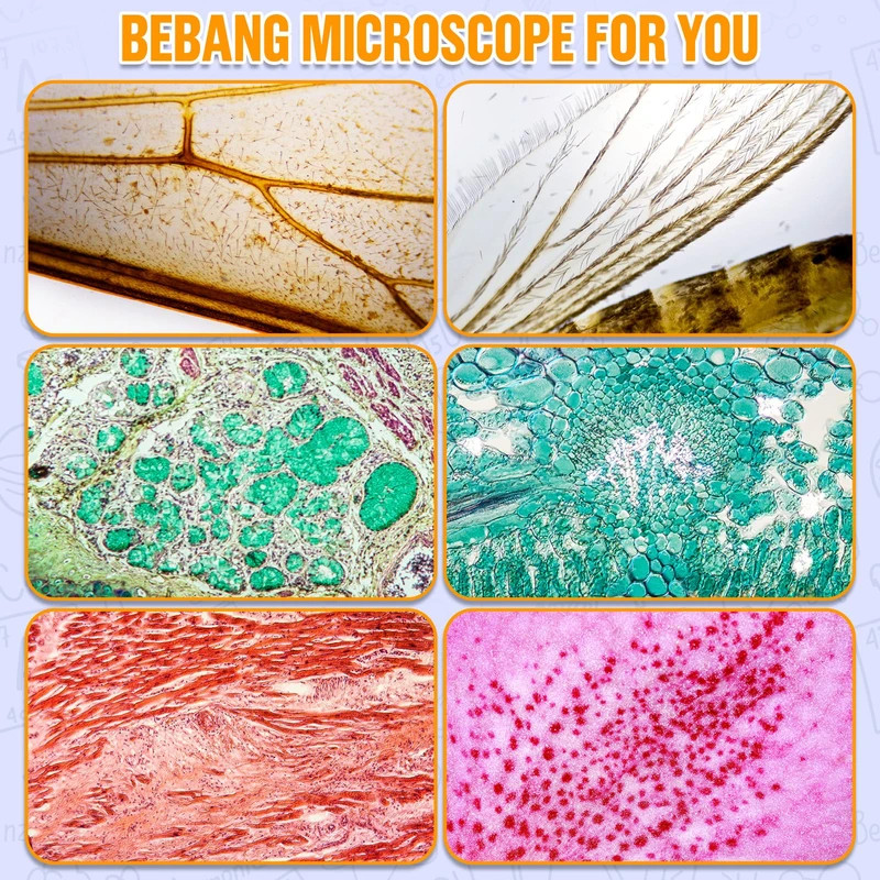 BEBANG 60x-135x Pocket Microscope, Handheld ~ New in Box