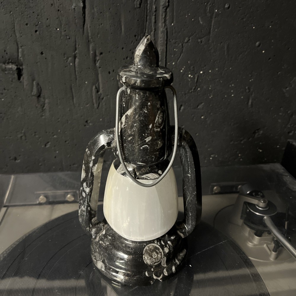 Orthoceras and Selenite Crystal Lantern
