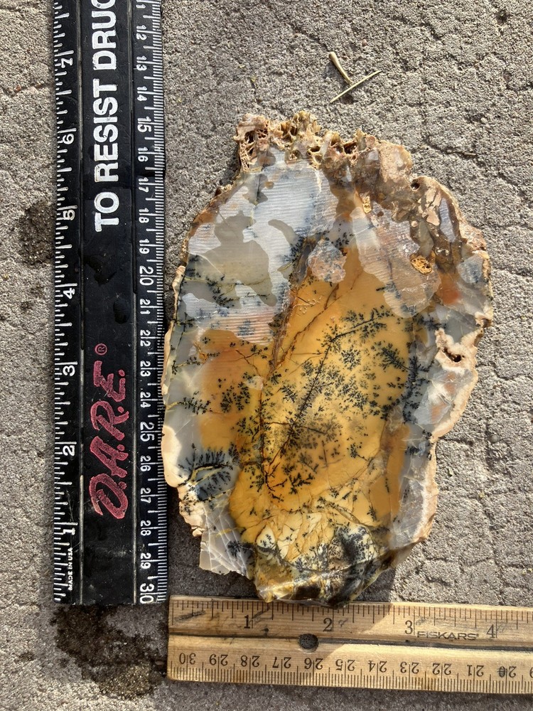 Dendritic Jasper Slab