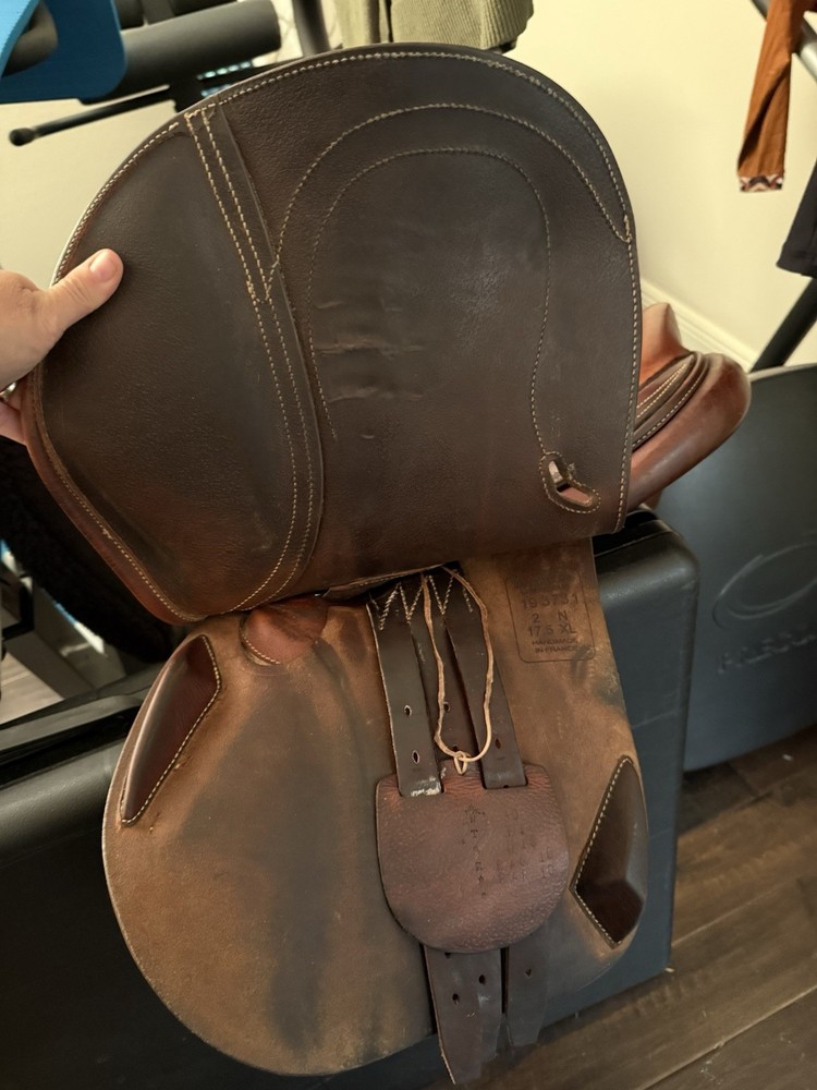 Antares Connection Jump Saddle 17.5”