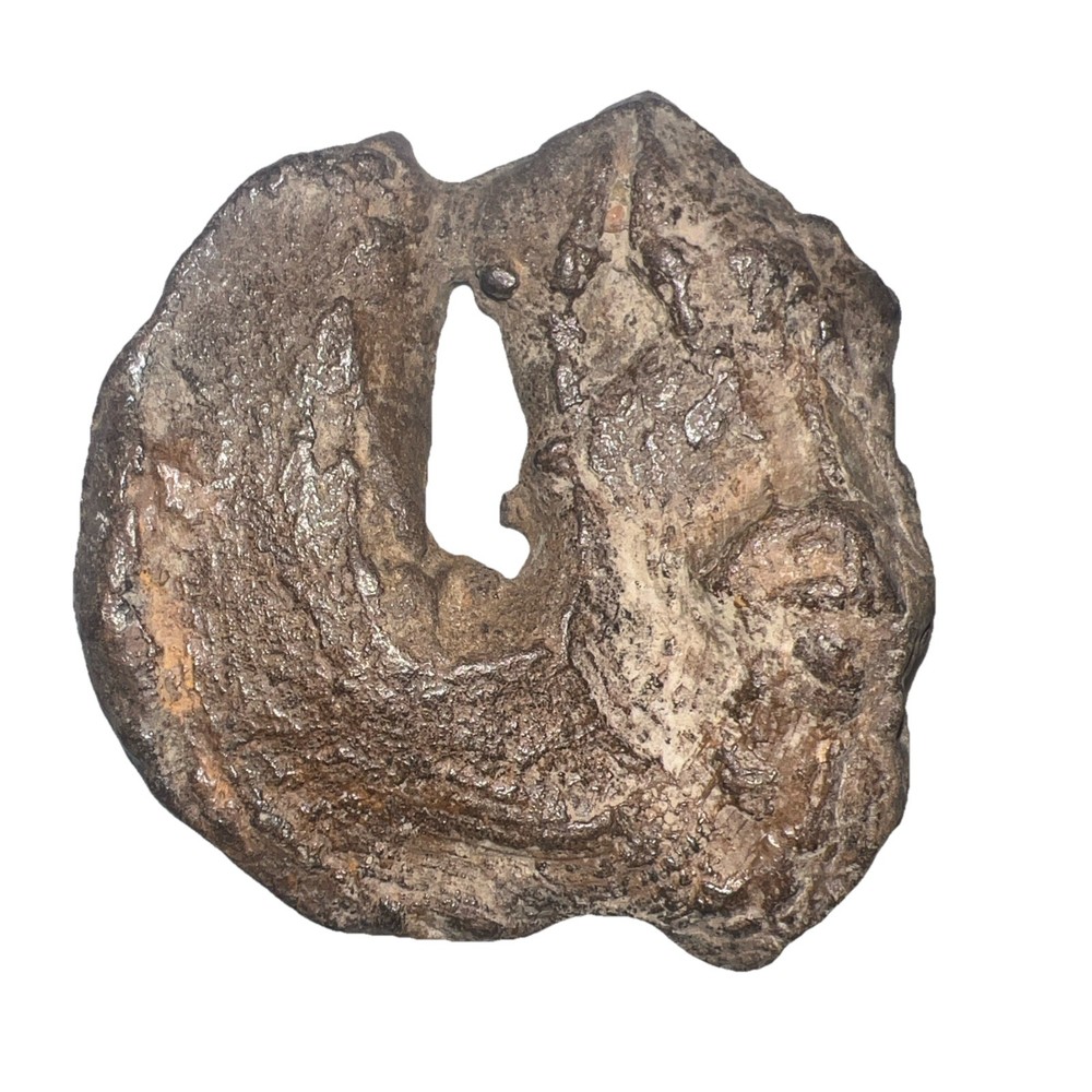 Natural hag stone 8.0 oz.