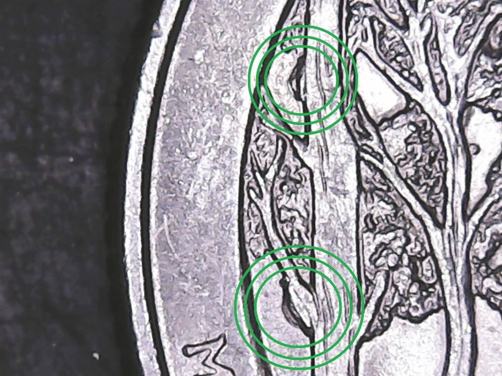 2018-p Pictured Rock ATB Quarter with Die Chips Mint Error.