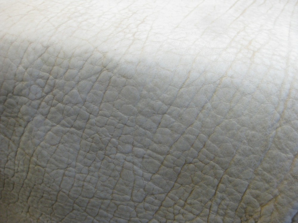 Buffalo Leather # 0012435 ROW 36