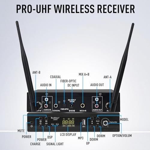 Wireless Microphone System, Dual Wireless Mics, Microphone for Singing,