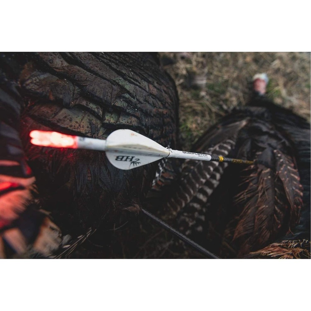 New Archery Products Thunderglo Compound Bow LED Illuminated Durable...