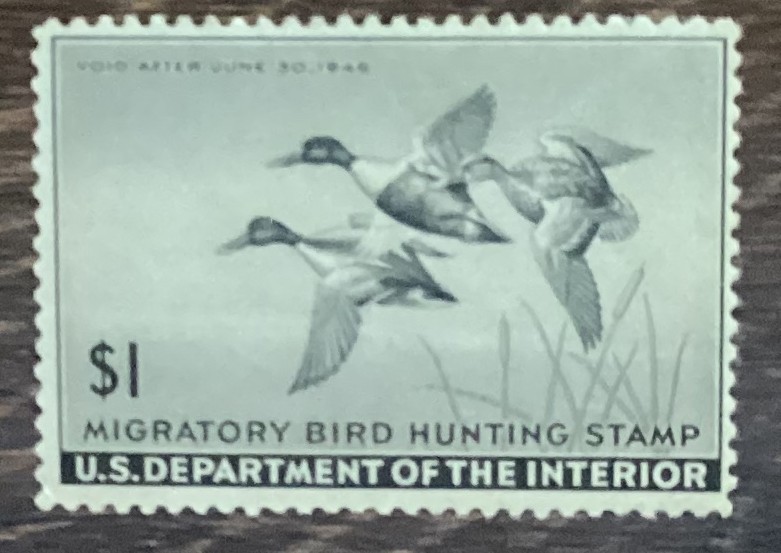 Duck  Stamp 1945 Shovellers RW12