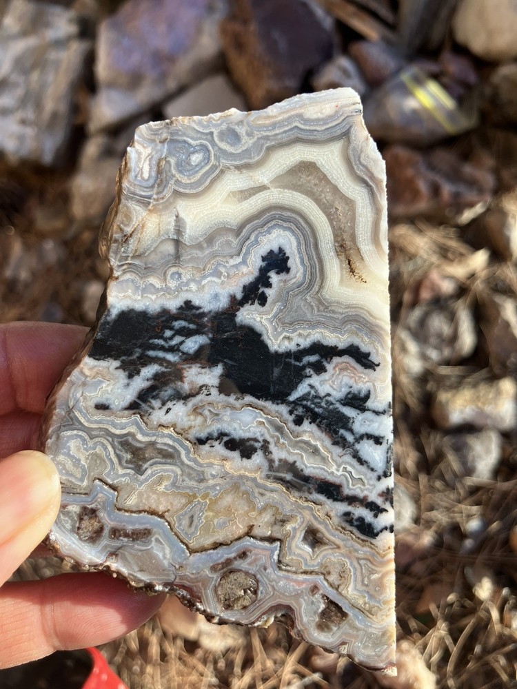 Crazy Lace Agate Slab