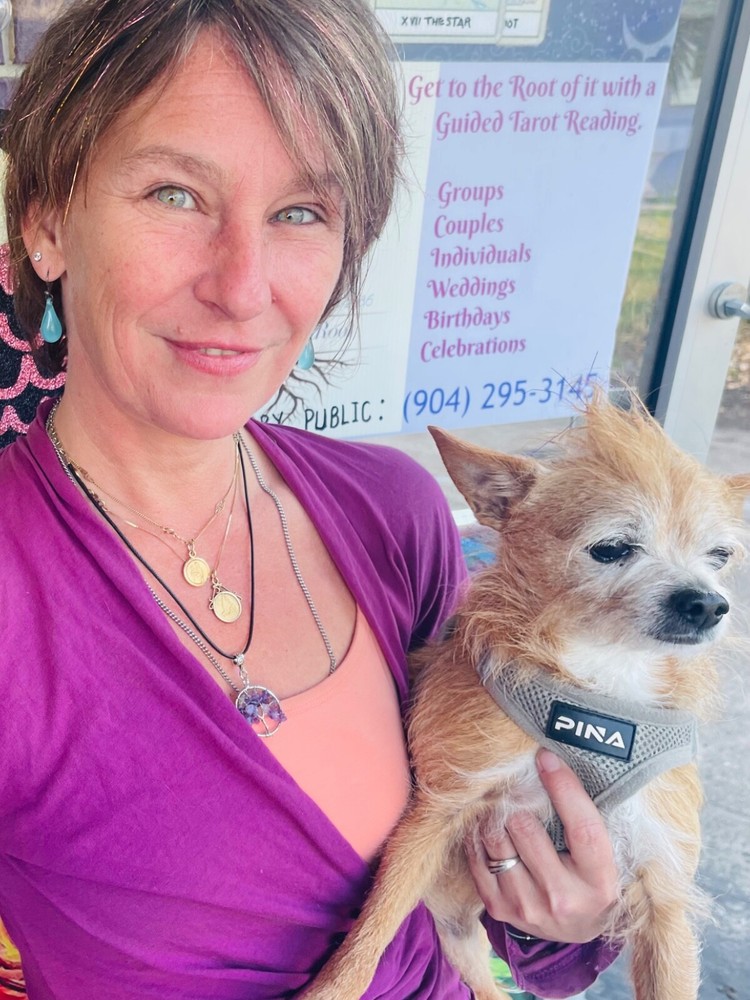 psychic tarot card reading Live