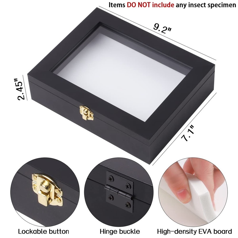 IHEIPYE Insect Display Case Wall Mount Bug Display Case Collection Box for Butte