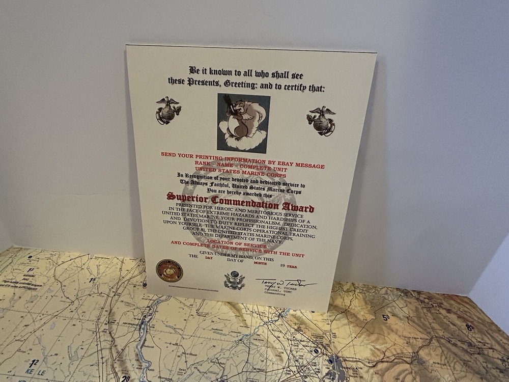 U.S.M.C. / MARINE OPERATIONAL TRAINING GROUP 81 - SUPERIOR COMMENDATION AWARD