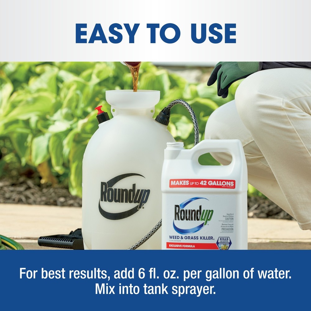 Roundup Weed & Grass Killer4 Concentrate, 1 gal.