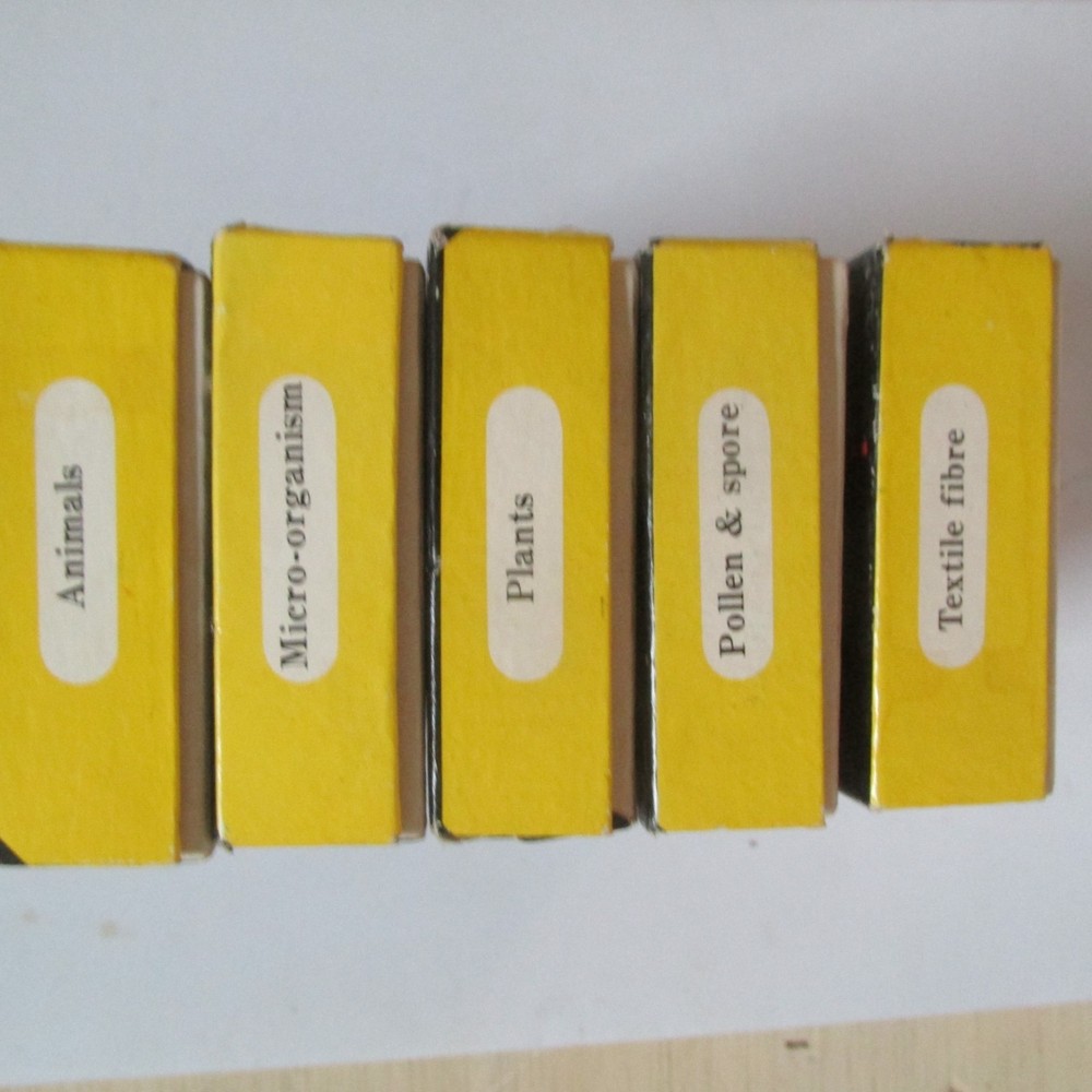 PREPARED SLIDES SPECIMEN SAMPLES JAPAN CCP MICROSCOPE PART ANIMALS "AS PICTURED"