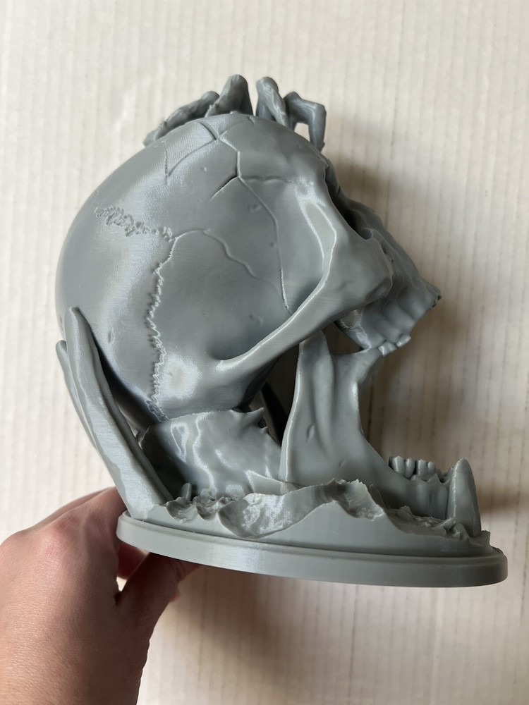 Dungeon & Dragons Roll Play Medieval Skull Dice Tower with Tarantula