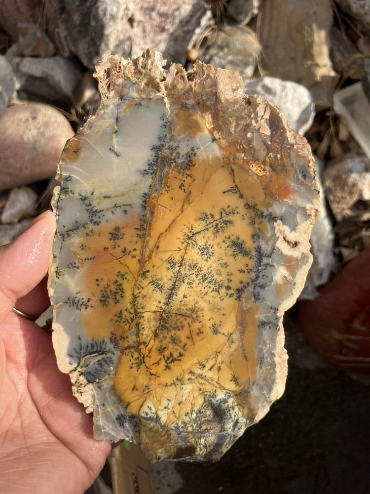 Dendritic Jasper Slab